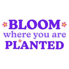 Bloom Where You Are Planted Sentiment for Spring