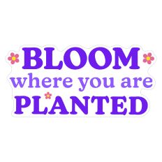 Bloom Where You are Planted Spring Sticker