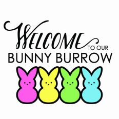 Welcome to our Bunny Burrow - 4 bunnies