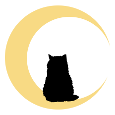 Cat on the Moon