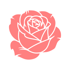 rose 