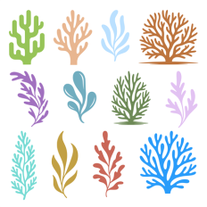 Set of Seaweed and Coral Silhouettes