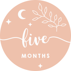 Baby Milestone