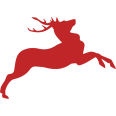 Reindeer