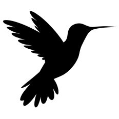 Hummingbird