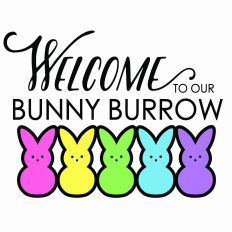 Welcome to our Bunny Burrow - 5 bunnies