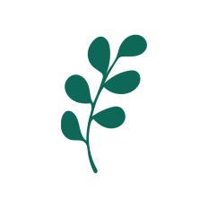 Flower Designs