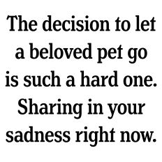 Pet Sympathy Card Sentiment