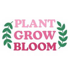 Plant Grow Bloom Spring Sentiment