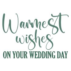 Warmest Wishes on Your Wedding Day Card Sentiment
