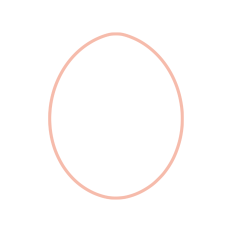 egg outline shape