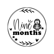 Nine months - cute baby milestone rounds