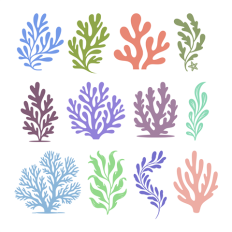 Set of Seaweed and Coral Silhouettes