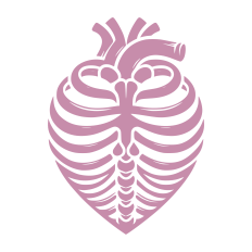 Heart Rib Cage
