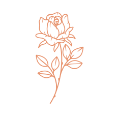 birth month flower june rose
