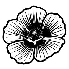 Poppy