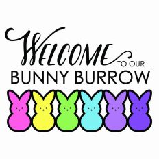 Welcome to our Bunny Burrow - 6 bunnies