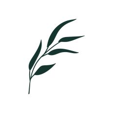 Flower Designs