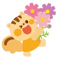 squirrel with cosmos