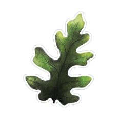 Watercolor leaf