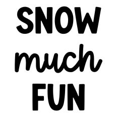 Snow Much Fun