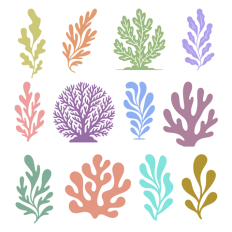 Set of Seaweed and Coral Silhouettes