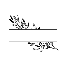 greenery branch split border monogram