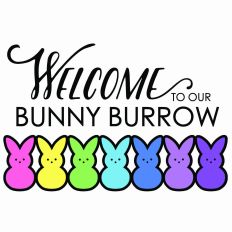 Welcome to our Bunny Burrow - 7 bunnies