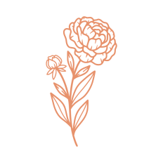 birth month flower january carnation