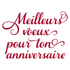 Meilleure Voeux pour ton Anniversaire