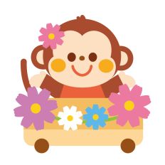 monkey with cosmos