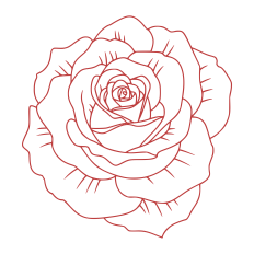rose