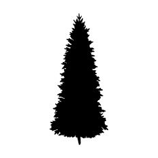 Christmas Tree Silhouette