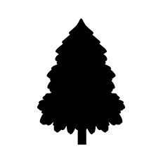 Christmas Tree Silhouette