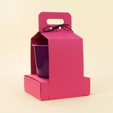 Cine popcorn kit