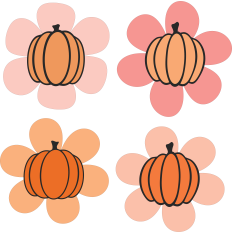 Pumpkin Flower
