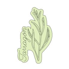 Tarragon Herb Sketch 