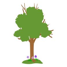 Tree 2