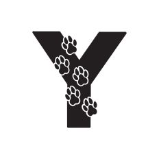 Letter Y with paw prints