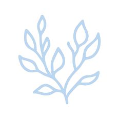 Leafy Branch