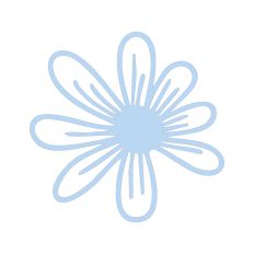 Daisy Flower