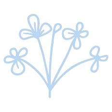 Wildflowers