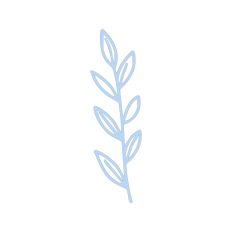 Leafy Branch