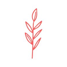 Leafy Branch