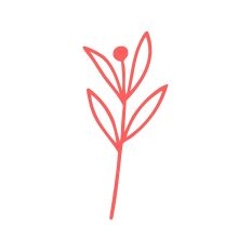 Floral Stem