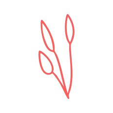 Leaf Sprig