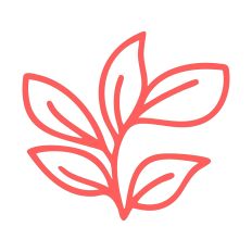Leaf Cluster