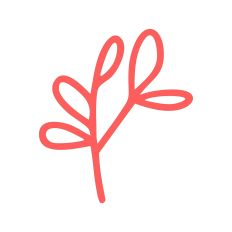 Leafy Branch