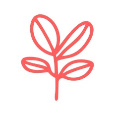 Leafy Branch