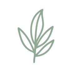 Leaf Cluster